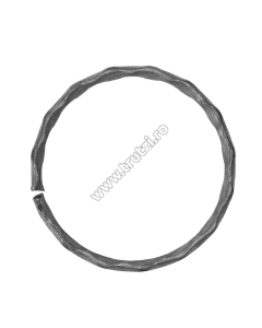 CERC SECT. 12X5MM AMPRENTAT, DIAMETRU FI 100MM