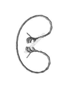 ELEMENT "C" CU FRUNZA SECT. 12X5MM AMPRENTAT, H 200MM, L 120MM